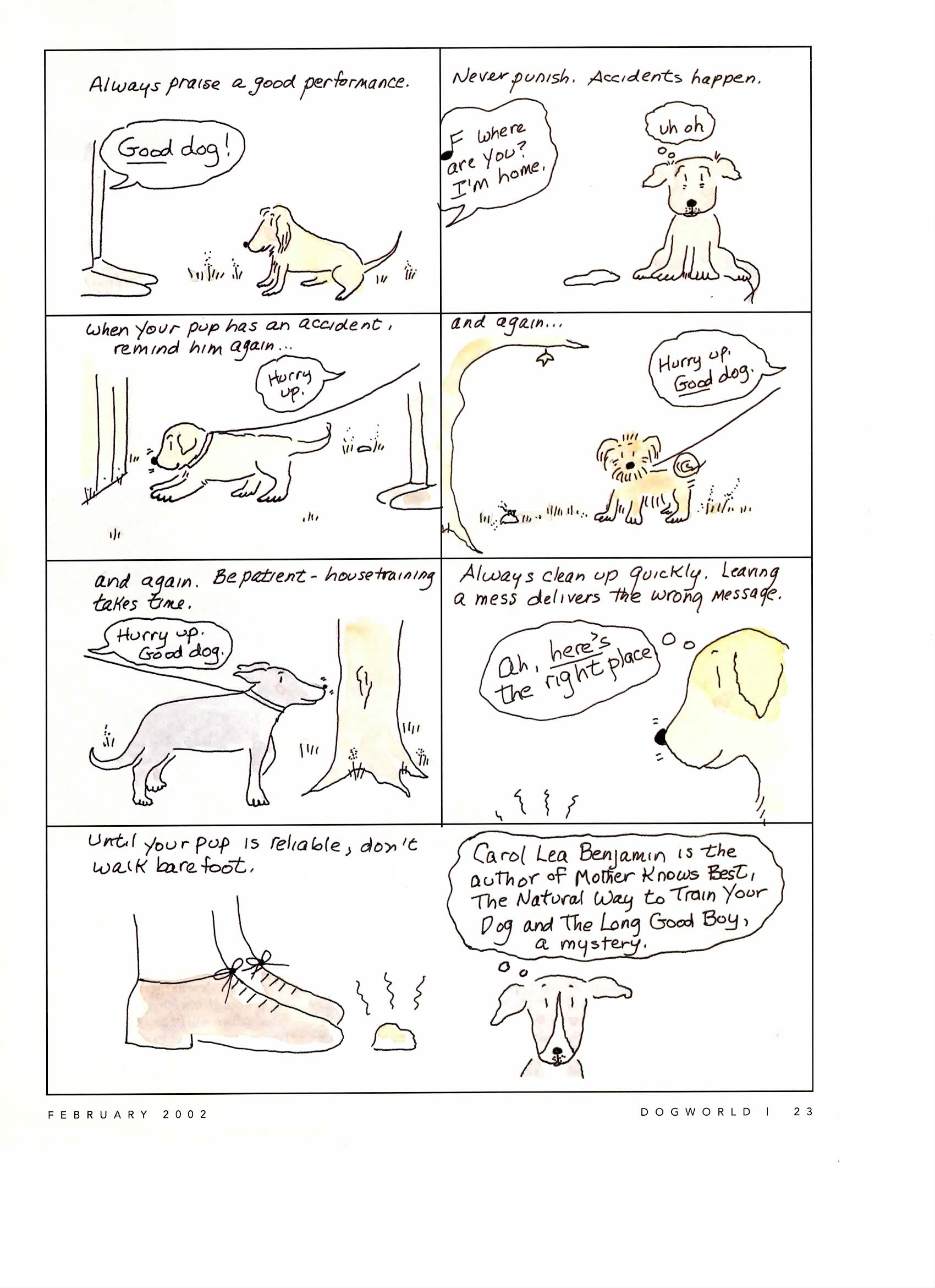 house training a puppy | Carol Lea Benjamin on Dogs